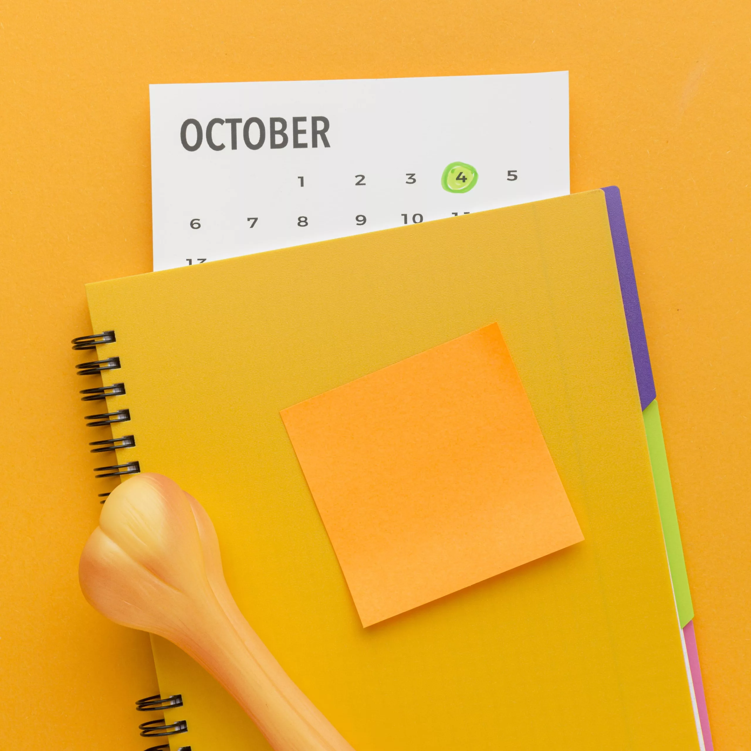 top-view-notebook-with-bone-calendar-animal-day-min