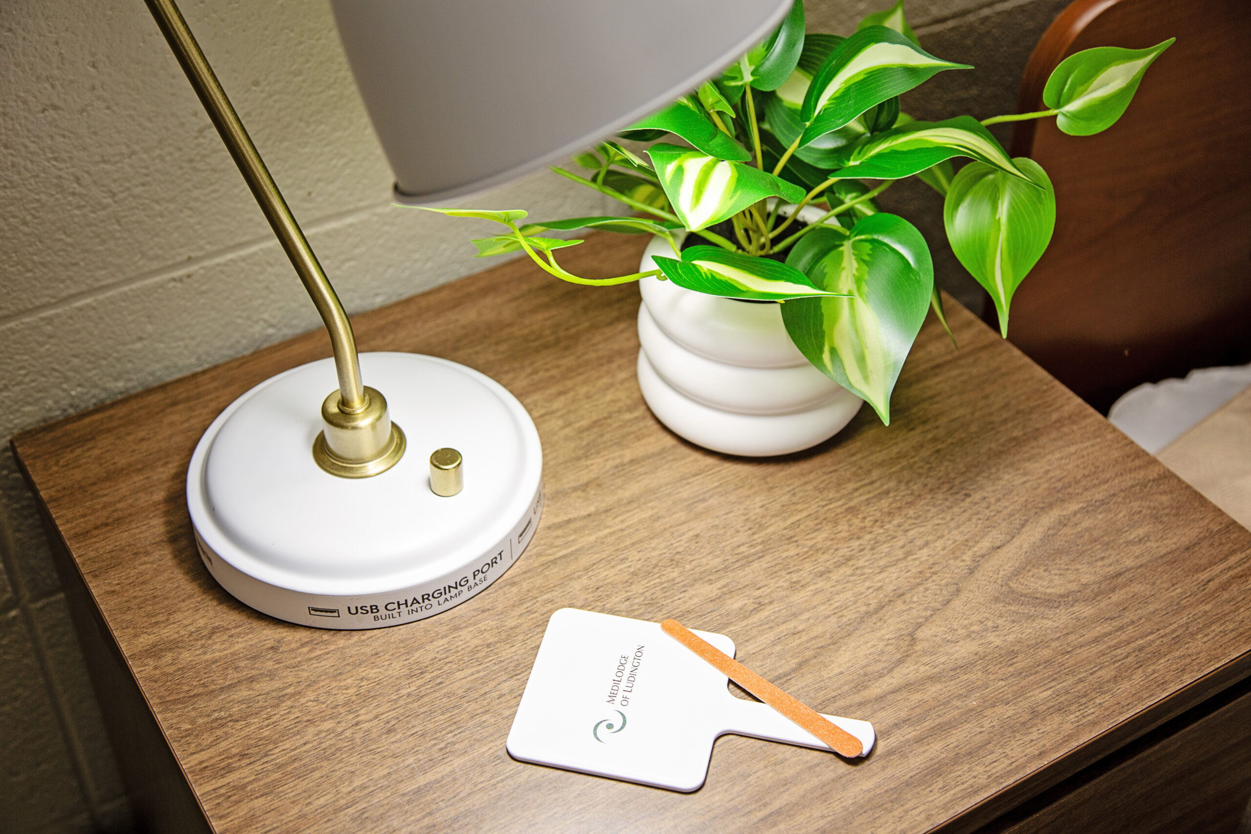 MediLodge of Ludington