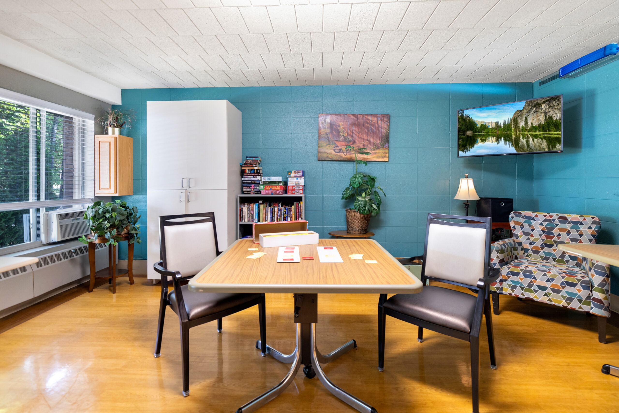 MediLodge of Ludington