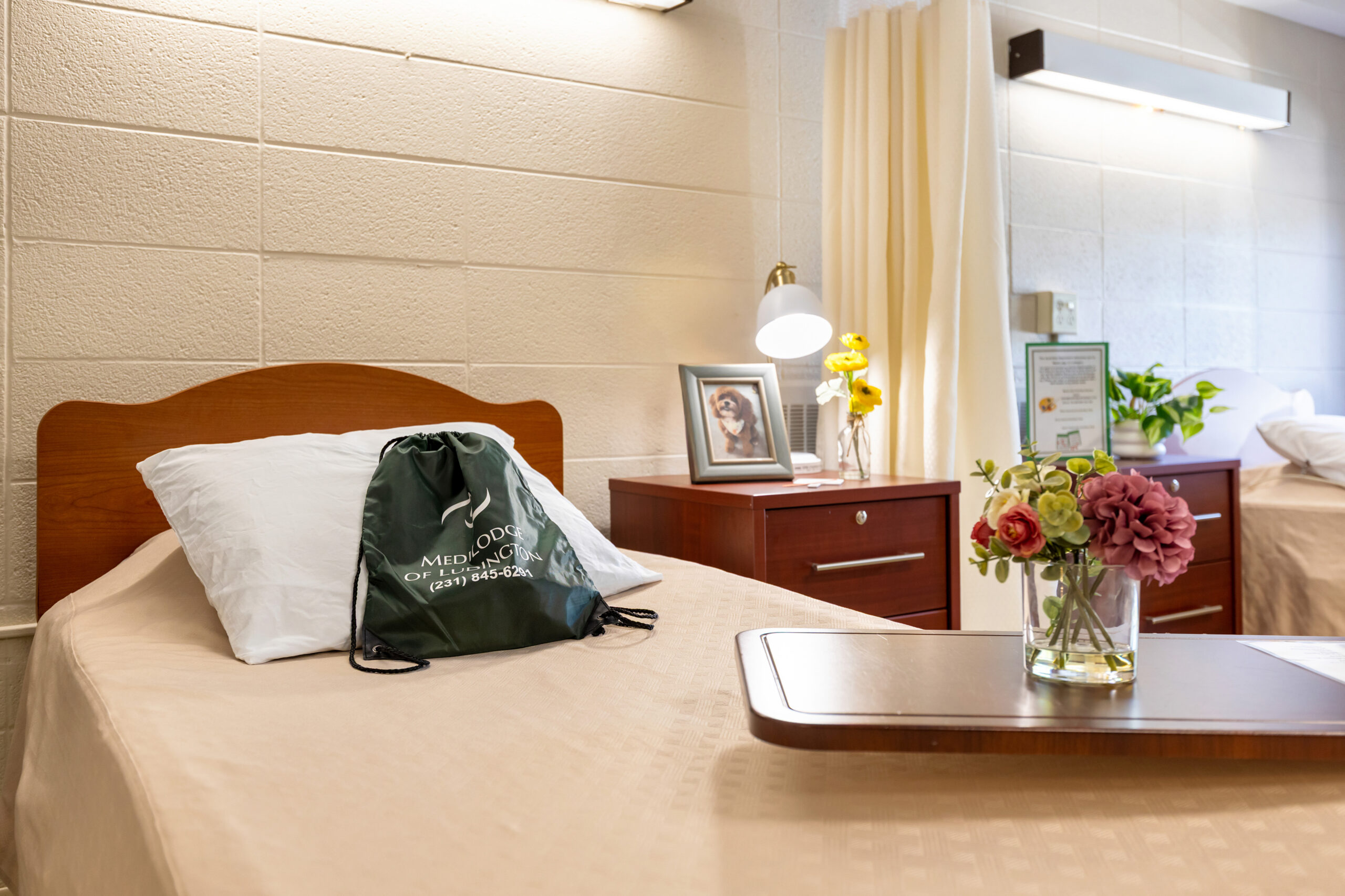 MediLodge of Ludington